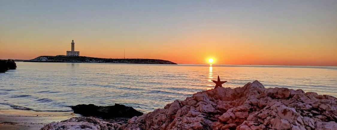 Appartamenti Pina Vieste Buitenkant foto